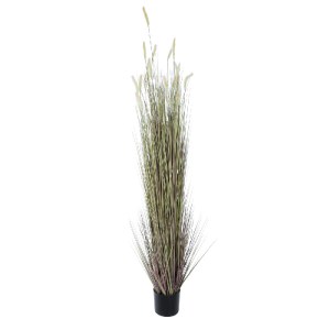glo-21104-21104_2 GLOBOSTAR® ARTIFICIAL GARDEN BEIGE LAGURUS 21104 ΔΙΑΚΟΣΜΗΤΙΚΟ ΦΥΤΟ ΜΠΕΖ ΛΑΓΟΟΥΡΑ Υ180CM
