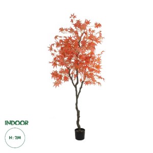 glo-21105-21105_0.webp GLOBOSTAR® ARTIFICIAL GARDEN MAPLE TREE 21105 ΤΕΧΝΗΤΟ ΔΙΑΚΟΣΜΗΤΙΚΟ ΔΕΝΤΡΟ ΣΦΕΝΔΑΜΟΣ Μ80 X 