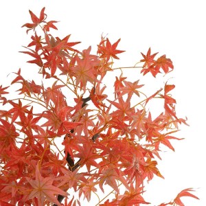 glo-21105-21105_3.webp GLOBOSTAR® ARTIFICIAL GARDEN MAPLE TREE 21105 ΤΕΧΝΗΤΟ ΔΙΑΚΟΣΜΗΤΙΚΟ ΔΕΝΤΡΟ ΣΦΕΝΔΑΜΟΣ Μ80 X 