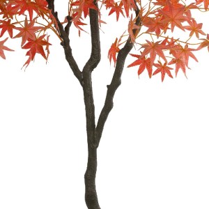 glo-21105-21105_4.webp GLOBOSTAR® ARTIFICIAL GARDEN MAPLE TREE 21105 ΤΕΧΝΗΤΟ ΔΙΑΚΟΣΜΗΤΙΚΟ ΔΕΝΤΡΟ ΣΦΕΝΔΑΜΟΣ Μ80 X 