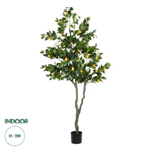 glo-21106-21106_0.webp GLOBOSTAR® ARTIFICIAL GARDEN LEMON TREE 21106 ΤΕΧΝΗΤΟ ΔΙΑΚΟΣΜΗΤΙΚΟ ΔΕΝΤΡΟ ΛΕΜΟΝΙΑ Υ200CM