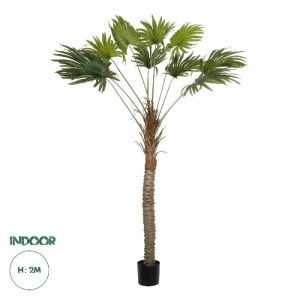 glo-21107-21107_0.webp GLOBOSTAR® ARTIFICIAL GARDEN WASHINGTONIA FILIFERA TREE 21107 ΤΕΧΝΗΤΟ ΔΙΑΚΟΣΜΗΤΙΚΟ ΦΟΙΝΙΚΟ
