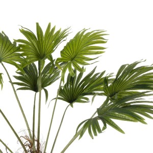 glo-21107-21107_3.webp GLOBOSTAR® ARTIFICIAL GARDEN WASHINGTONIA FILIFERA TREE 21107 ΤΕΧΝΗΤΟ ΔΙΑΚΟΣΜΗΤΙΚΟ ΦΟΙΝΙΚΟ