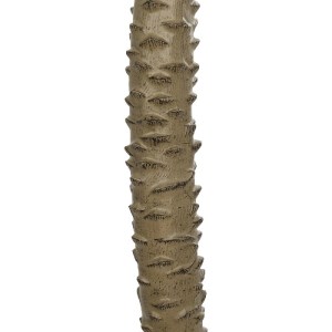 glo-21107-21107_5.webp GLOBOSTAR® ARTIFICIAL GARDEN WASHINGTONIA FILIFERA TREE 21107 ΤΕΧΝΗΤΟ ΔΙΑΚΟΣΜΗΤΙΚΟ ΦΟΙΝΙΚΟ
