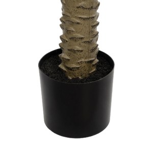 glo-21107-21107_6.webp GLOBOSTAR® ARTIFICIAL GARDEN WASHINGTONIA FILIFERA TREE 21107 ΤΕΧΝΗΤΟ ΔΙΑΚΟΣΜΗΤΙΚΟ ΦΟΙΝΙΚΟ