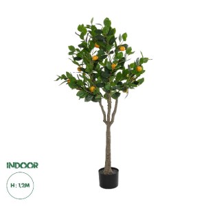 glo-21108-21108_0.webp GLOBOSTAR® ARTIFICIAL GARDEN ORANGE TREE 21108 ΤΕΧΝΗΤΟ ΔΙΑΚΟΣΜΗΤΙΚΟ ΔΕΝΤΡΟ ΠΟΡΤΟΚΑΛΙΑ Μ70 