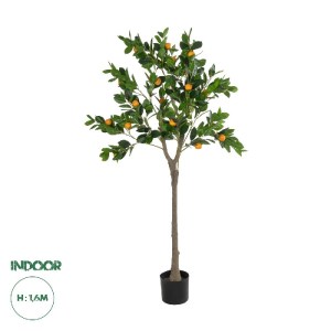 glo-21109-21109_0.webp GLOBOSTAR® ARTIFICIAL GARDEN ORANGE TREE 21109 ΤΕΧΝΗΤΟ ΔΙΑΚΟΣΜΗΤΙΚΟ ΔΕΝΤΡΟ ΠΟΡΤΟΚΑΛΙΑ Μ90 