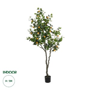 glo-21110-21110_0.webp GLOBOSTAR® ARTIFICIAL GARDEN ORANGE TREE 21110 ΤΕΧΝΗΤΟ ΔΙΑΚΟΣΜΗΤΙΚΟ ΔΕΝΤΡΟ ΠΟΡΤΟΚΑΛΙΑ Μ110