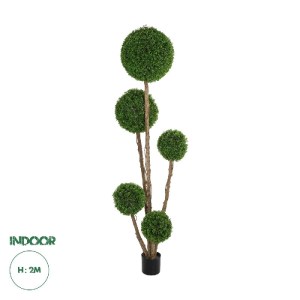 glo-21111-21111_0.webp GLOBOSTAR® ARTIFICIAL GARDEN BUXUS TREE 21111 ΤΕΧΝΗΤΟ ΔΙΑΚΟΣΜΗΤΙΚΟ ΔΕΝΤΡΟ BUXUS Μ65 X Π60 