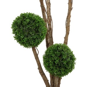 glo-21111-21111_4.webp GLOBOSTAR® ARTIFICIAL GARDEN BUXUS TREE 21111 ΤΕΧΝΗΤΟ ΔΙΑΚΟΣΜΗΤΙΚΟ ΔΕΝΤΡΟ BUXUS Μ65 X Π60 