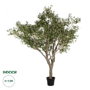 glo-21112-21112_00 GLOBOSTAR® ARTIFICIAL GARDEN OLIVE TREE 21112 ΤΕΧΝΗΤΟ ΔΙΑΚΟΣΜΗΤΙΚΟ ΔΕΝΤΡΟ ΕΛΙΑ Υ220CM
