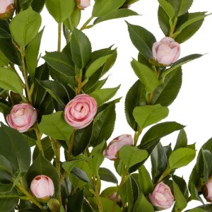 glo-21115-21115_3.webp GLOBOSTAR® ARTIFICIAL GARDEN CAMELIA 21115 ΤΕΧΝΗΤΟ ΔΙΑΚΟΣΜΗΤΙΚΟ ΔΕΝΤΡΟ ΚΑΜΕΛΙΑ Μ50 X Π30 X