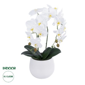 glo-21117-21117_0 GLOBOSTAR® ARTIFICIAL GARDEN WHITE ORCHID 21117 ΔΙΑΚΟΣΜΗΤΙΚΟ ΦΥΤΟ ΛΕΥΚΗ ΟΡΧΙΔΕΑ Υ45CM