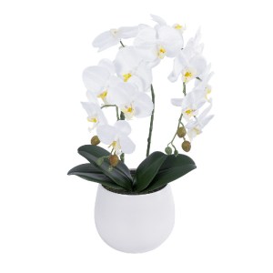 glo-21117-21117_2 GLOBOSTAR® ARTIFICIAL GARDEN WHITE ORCHID 21117 ΔΙΑΚΟΣΜΗΤΙΚΟ ΦΥΤΟ ΛΕΥΚΗ ΟΡΧΙΔΕΑ Υ45CM