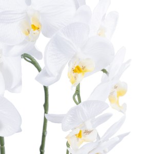 glo-21117-21117_3 GLOBOSTAR® ARTIFICIAL GARDEN WHITE ORCHID 21117 ΔΙΑΚΟΣΜΗΤΙΚΟ ΦΥΤΟ ΛΕΥΚΗ ΟΡΧΙΔΕΑ Υ45CM