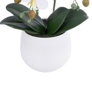 glo-21117-21117_4 GLOBOSTAR® ARTIFICIAL GARDEN WHITE ORCHID 21117 ΔΙΑΚΟΣΜΗΤΙΚΟ ΦΥΤΟ ΛΕΥΚΗ ΟΡΧΙΔΕΑ Υ45CM