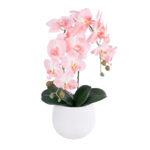 glo-21118-21118_2 GLOBOSTAR® ARTIFICIAL GARDEN SALMON ORCHID 21118 ΔΙΑΚΟΣΜΗΤΙΚΟ ΦΥΤΟ ΡΟΖ-ΠΟΡΤΟΚΑΛΙ ΟΡΧΙΔΕΑ Υ