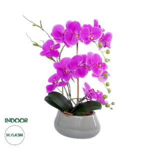 glo-21119-21119_0 GLOBOSTAR® ARTIFICIAL GARDEN HOT PINK ORCHID 21119 ΔΙΑΚΟΣΜΗΤΙΚΟ ΦΥΤΟ  ΕΝΤΟΝΟ ΡΟΖ ΟΡΧΙΔΕΑ Υ