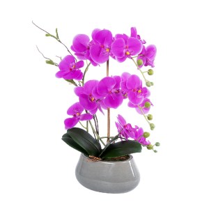 glo-21119-21119_2 GLOBOSTAR® ARTIFICIAL GARDEN HOT PINK ORCHID 21119 ΔΙΑΚΟΣΜΗΤΙΚΟ ΦΥΤΟ  ΕΝΤΟΝΟ ΡΟΖ ΟΡΧΙΔΕΑ Υ