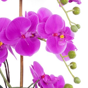 glo-21119-21119_3 GLOBOSTAR® ARTIFICIAL GARDEN HOT PINK ORCHID 21119 ΔΙΑΚΟΣΜΗΤΙΚΟ ΦΥΤΟ  ΕΝΤΟΝΟ ΡΟΖ ΟΡΧΙΔΕΑ Υ
