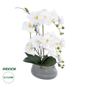 glo-21120-21120_0 GLOBOSTAR® ARTIFICIAL GARDEN WHITE ORCHID 21120 ΔΙΑΚΟΣΜΗΤΙΚΟ ΦΥΤΟ ΛΕΥΚΗ ΟΡΧΙΔΕΑ Υ43CM