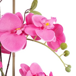 glo-21121-21121_3 GLOBOSTAR® ARTIFICIAL GARDEN PINK ORCHID 21121 ΔΙΑΚΟΣΜΗΤΙΚΟ ΦΥΤΟ ΕΝΤΟΝΟ ΡΟΖ ΟΡΧΙΔΕΑ Υ43CM
