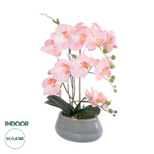 glo-21122-21122_0 GLOBOSTAR® ARTIFICIAL GARDEN SALMON PINK ORCHID 21122 ΔΙΑΚΟΣΜΗΤΙΚΟ ΦΥΤΟ ΡΟΖ-ΠΟΡΤΟΚΑΛΙ ΟΡΧΙ