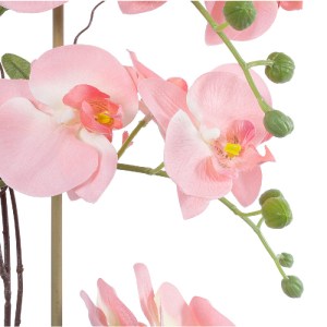 glo-21122-21122_3 GLOBOSTAR® ARTIFICIAL GARDEN SALMON PINK ORCHID 21122 ΔΙΑΚΟΣΜΗΤΙΚΟ ΦΥΤΟ ΡΟΖ-ΠΟΡΤΟΚΑΛΙ ΟΡΧΙ