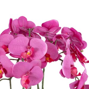 glo-21123-21123_3 GLOBOSTAR® ARTIFICIAL GARDEN DARK PINK ORCHID 21123 ΔΙΑΚΟΣΜΗΤΙΚΟ ΦΥΤΟ ΦΟΥΞΙΑ ΟΡΧΙΔΕΑ Υ50CM