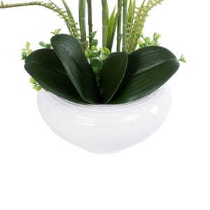 glo-21123-21123_4 GLOBOSTAR® ARTIFICIAL GARDEN DARK PINK ORCHID 21123 ΔΙΑΚΟΣΜΗΤΙΚΟ ΦΥΤΟ ΦΟΥΞΙΑ ΟΡΧΙΔΕΑ Υ50CM
