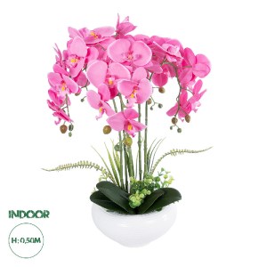 glo-21124-21124_0 GLOBOSTAR® ARTIFICIAL GARDEN PINK ORCHID 21124 ΔΙΑΚΟΣΜΗΤΙΚΟ ΦΥΤΟ ΡΟΖ ΟΡΧΙΔΕΑ Υ50CM