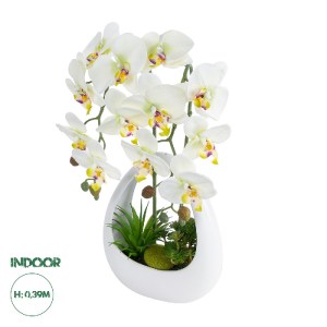 glo-21128-21128_0 GLOBOSTAR® ARTIFICIAL GARDEN WHITE ORCHID 21128 ΔΙΑΚΟΣΜΗΤΙΚΟ ΦΥΤΟ ΛΕΥΚΗ ΟΡΧΙΔΕΑ Υ39CM