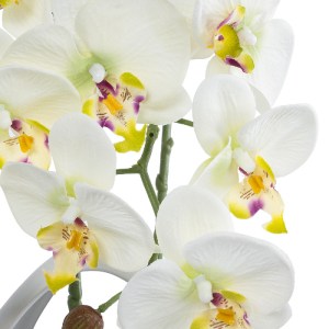 glo-21128-21128_3 GLOBOSTAR® ARTIFICIAL GARDEN WHITE ORCHID 21128 ΔΙΑΚΟΣΜΗΤΙΚΟ ΦΥΤΟ ΛΕΥΚΗ ΟΡΧΙΔΕΑ Υ39CM