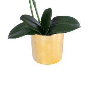 glo-21130-21130_4 GLOBOSTAR® ARTIFICIAL GARDEN BLUE ORCHID 21130 ΔΙΑΚΟΣΜΗΤΙΚΟ ΦΥΤΟ ΜΠΛΕ ΟΡΧΙΔΕΑ Υ43CM