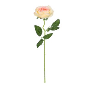 glo-21141-21141_2 GLOBOSTAR® ARTIFICIAL GARDEN CHAMPAGNE ROSE BRANCH 21141 ΤΕΧΝΗΤΟ ΔΙΑΚΟΣΜΗΤΙΚΟ ΚΛΑΔΙ ΣΑΜΠΑΝ