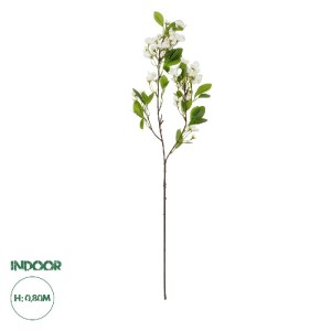 glo-21145-21145_0.webp GLOBOSTAR® ARTIFICIAL GARDEN WHITE JASMINE BRANCH 21145 ΤΕΧΝΗΤΟ ΔΙΑΚΟΣΜΗΤΙΚΟ ΚΛΑΔΙ ΛΕΥΚΟ Γ