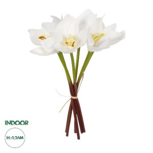 glo-21151-21151_0.webp GLOBOSTAR® ARTIFICIAL GARDEN WHITE ORCHID BOUQUET 21151 ΤΕΧΝΗΤΟ ΔΙΑΚΟΣΜΗΤΙΚΟ ΜΠΟΥΚΕΤΟ ΛΕΥΚ