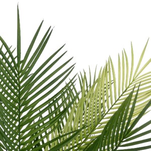 glo-21153-21153_3.webp GLOBOSTAR® ARTIFICIAL GARDEN PALM TREE 21153 ΤΕΧΝΗΤΟ ΔΙΑΚΟΣΜΗΤΙΚΟ ΔΕΝΤΡΟ ΦΟΙΝΙΚΑΣ Μ100 X Π