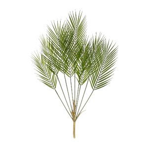 glo-21155-21155_2.webp GLOBOSTAR® ARTIFICIAL GARDEN GREEN PALMLEAF BRANCH 21155 ΤΕΧΝΗΤΟ ΔΙΑΚΟΣΜΗΤΙΚΟ ΚΛΑΔΙ ΦΟΙΝΙΚ