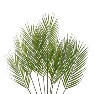 glo-21155-21155_3.webp GLOBOSTAR® ARTIFICIAL GARDEN GREEN PALMLEAF BRANCH 21155 ΤΕΧΝΗΤΟ ΔΙΑΚΟΣΜΗΤΙΚΟ ΚΛΑΔΙ ΦΟΙΝΙΚ