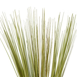 glo-21161-21161_3.webp GLOBOSTAR® ARTIFICIAL GARDEN GREEN GRASS BOUQUET 21161 ΤΕΧΝΗΤΟ ΔΙΑΚΟΣΜΗΤΙΚΟ ΜΠΟΥΚΕΤΟ GRASS