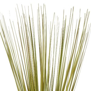 glo-21164-21164_3.webp GLOBOSTAR® ARTIFICIAL GARDEN GREEN GRASS BOUQUET 21164 ΤΕΧΝΗΤΟ ΔΙΑΚΟΣΜΗΤΙΚΟ ΜΠΟΥΚΕΤΟ GRASS