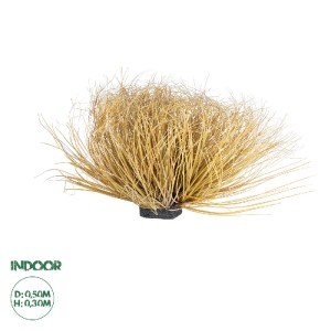 glo-21165-21165_0 GLOBOSTAR® ARTIFICIAL GARDEN GRASS BUSH PLANT 21165 ΤΕΧΝΗΤΟ ΔΙΑΚΟΣΜΗΤΙΚΟ ΦΥΤΟ ΘΑΜΝΟΣ GRASS
