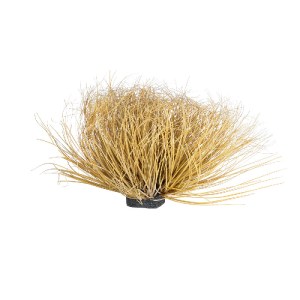glo-21165-21165_2 GLOBOSTAR® ARTIFICIAL GARDEN GRASS BUSH PLANT 21165 ΤΕΧΝΗΤΟ ΔΙΑΚΟΣΜΗΤΙΚΟ ΦΥΤΟ ΘΑΜΝΟΣ GRASS