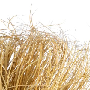 glo-21165-21165_3 GLOBOSTAR® ARTIFICIAL GARDEN GRASS BUSH PLANT 21165 ΤΕΧΝΗΤΟ ΔΙΑΚΟΣΜΗΤΙΚΟ ΦΥΤΟ ΘΑΜΝΟΣ GRASS