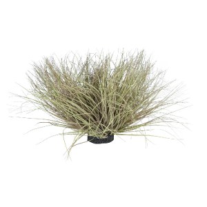 glo-21167-21167_2 GLOBOSTAR® ARTIFICIAL GARDEN GRASS BUSH PLANT 21167 ΤΕΧΝΗΤΟ ΔΙΑΚΟΣΜΗΤΙΚΟ ΦΥΤΟ ΘΑΜΝΟΣ GRASS