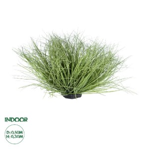 glo-21168-21168_0 GLOBOSTAR® ARTIFICIAL GARDEN GRASS BUSH PLANT 21168 ΤΕΧΝΗΤΟ ΔΙΑΚΟΣΜΗΤΙΚΟ ΦΥΤΟ ΘΑΜΝΟΣ GRASS