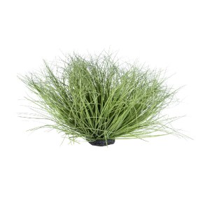 glo-21168-21168_2 GLOBOSTAR® ARTIFICIAL GARDEN GRASS BUSH PLANT 21168 ΤΕΧΝΗΤΟ ΔΙΑΚΟΣΜΗΤΙΚΟ ΦΥΤΟ ΘΑΜΝΟΣ GRASS