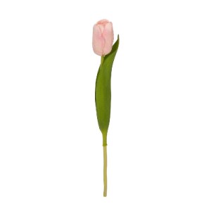 glo-21200-21200_2.webp GLOBOSTAR® ARTIFICIAL GARDEN PINK TULIP BRANCH 21200 ΤΕΧΝΗΤΟ ΔΙΑΚΟΣΜΗΤΙΚΟ ΚΛΑΔΙ ΡΟΖ ΤΟΥΛΙΠ