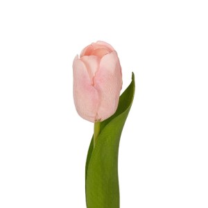 glo-21200-21200_3.webp GLOBOSTAR® ARTIFICIAL GARDEN PINK TULIP BRANCH 21200 ΤΕΧΝΗΤΟ ΔΙΑΚΟΣΜΗΤΙΚΟ ΚΛΑΔΙ ΡΟΖ ΤΟΥΛΙΠ